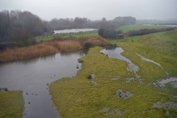 Soggy day birding, dry in the hides.